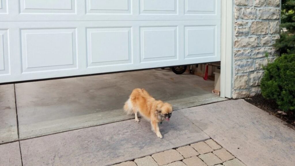 new garage door Protecting Children and Pets